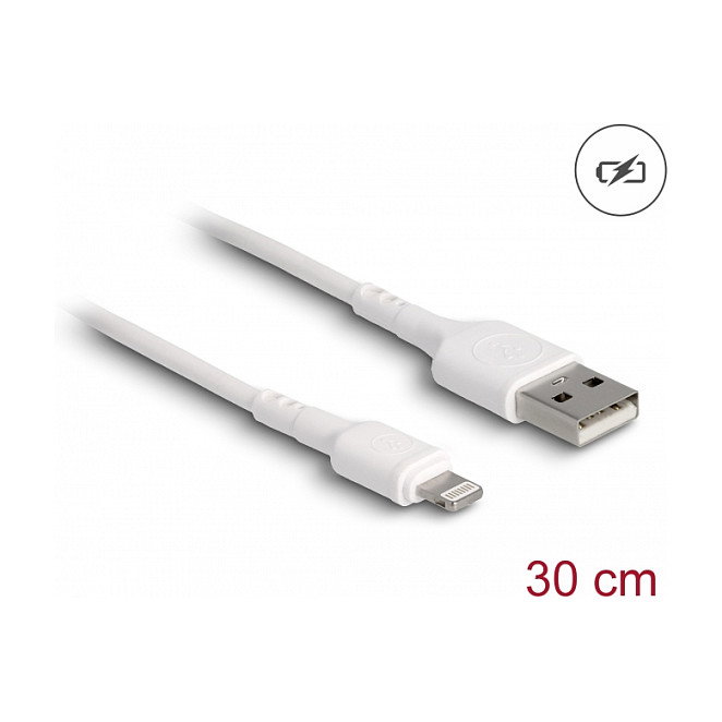 DeLOCK Cable de carga USB para iPhone, iPad, iPod Blanco 30 cm DeLOCK Cable de carga USB para iPhone, iPad, iPod Blanco 30 cm