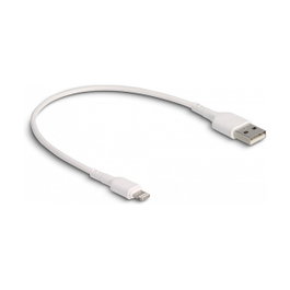 DeLOCK Cable de carga USB para iPhone, iPad, iPod Blanco 30 cm