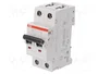 ABB S200M S202M-B6 Interruptor Magnetotérmico 2 Polos 6A