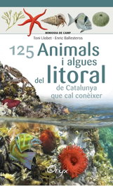 Animals i algues del litoral de Catalunya que cal conèixer, Toni Llobet; Enric Ballesteros - COSSETANIA EDICIONS