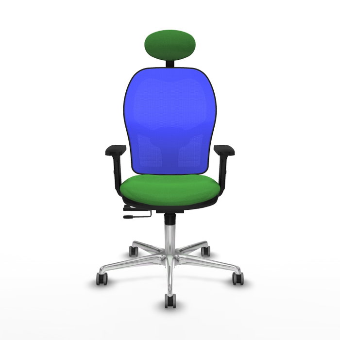 PIQUERAS Y CRESPO Silla de oficina Jorquera con mecanismo Sincro/Traslack, Verde y Azul PIQUERAS Y CRESPO Silla de oficina Jorquera con mecanismo Sincro/Traslack, Verde y Azul