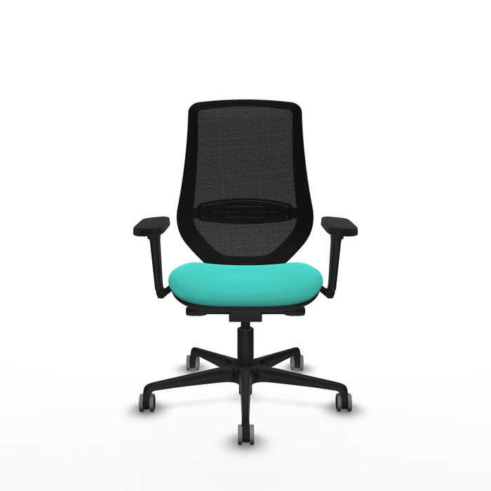 PIQUERAS Y CRESPO Silla de oficina Mardos con mecanismo Sincro/Traslack, Turquesa y Negro PIQUERAS Y CRESPO Silla de oficina Mardos con mecanismo Sincro/Traslack, Turquesa y Negro