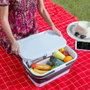 Inde Cesta de Picnic Plegable con Tapa-Mesa Pickning I 46 cm x 29 cm x 9 cm (4 Unidades)
