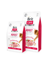 Brit Care Grain Free Activity Support Gato Adulto 2Kg - Sin Cereales, Sin Colorantes, Sin Conservantes, Sin OMG, Sin Soja