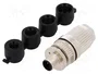 HARTING Conector M12 Macho 5 Pines Recto L-coded Power IP67