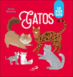 SAN PABLO EDITORIAL, Gatos - David Hawcock