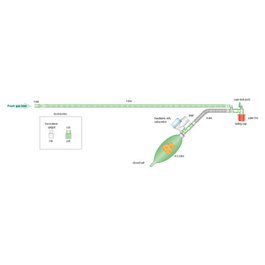 Intersurgical Circuito Respiratorio Pediátrico con Válvula APL 1,8 m