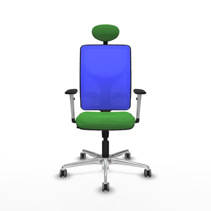 PIQUERAS Y CRESPO Silla de oficina Motilla con mecanismo Sincro, Tela Verde y Malla Azul PIQUERAS Y CRESPO Silla de oficina Motilla con mecanismo Sincro, Tela Verde y Malla Azul