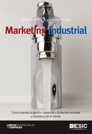 Marketing industrial, Mikel Mesonero De Miguel - ESIC