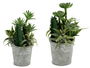 Ibergarden Maceta Cactus Plantas Redonda Plástico Cemento Verde Plata 15x24x15 cm (Set de 12)