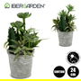 Ibergarden Maceta Cactus Plantas Redonda Plástico Cemento Verde Plata 15x24x15 cm (Set de 12)