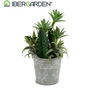 Ibergarden Maceta Cactus Plantas Redonda Plástico Cemento Verde Plata 15x24x15 cm (Set de 12)