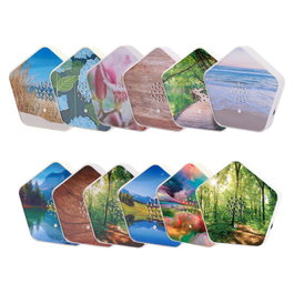 Olympia Sound of Nature Box Blanco