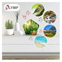 Olympia Sound of Nature Box Blanco