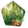 Olympia Sound of Nature Box Blanco