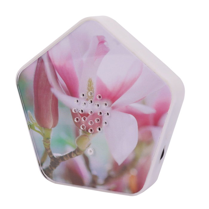Olympia Sound of Nature Box Blanco