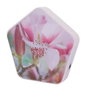 Olympia Sound of Nature Box Blanco
