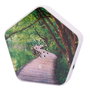Olympia Sound of Nature Box Blanco