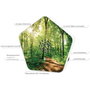 Olympia Sound of Nature Box Blanco