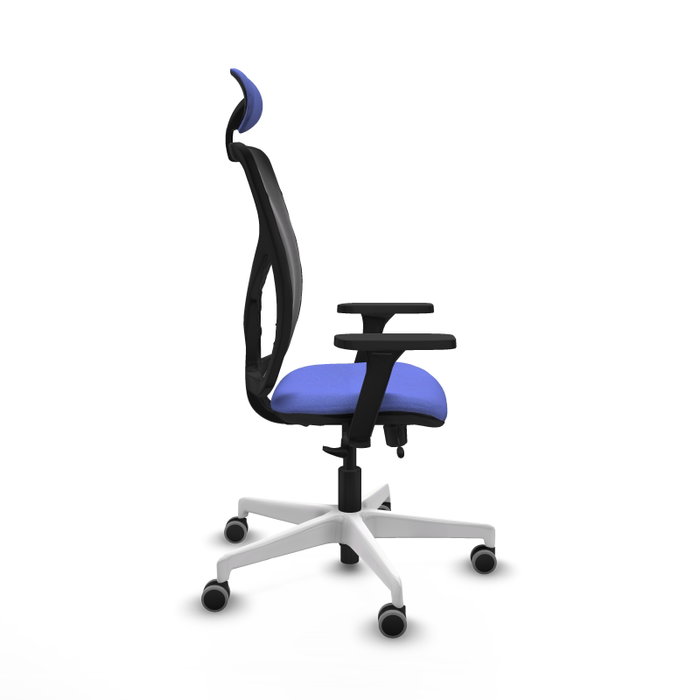 PIQUERAS Y CRESPO Silla de oficina Motilla con mecanismo Sincro/Traslack, Azul claro y Negro PIQUERAS Y CRESPO Silla de oficina Motilla con mecanismo Sincro/Traslack, Azul claro y Negro