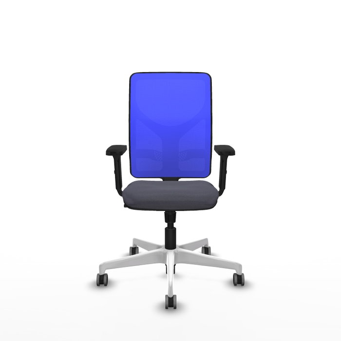 PIQUERAS Y CRESPO Silla de oficina Motilla con Mecanismo Sincro, Gris oscuro y Azul