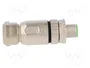 HARTING Conector M12 Macho 4 Pines Recto Código D Ethernet IP67
