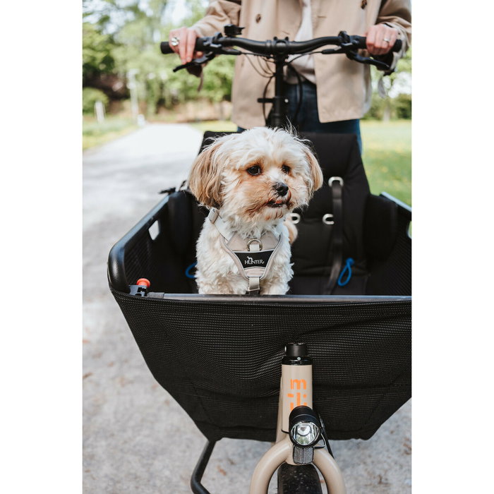 Hunter Arnés Divo Up para Perro, Entrada Frontal, Acolchado Transpirable, Reflectante 3M Scotchlite, 5 Puntos Ajuste, Color Beige, Talla S (45-56 cm)