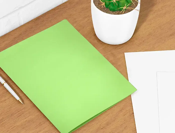 Liderpapel Subcarpeta DIN A4 Verde Intenso 180g/m2