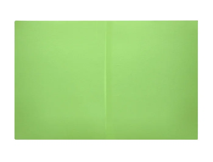 Subcarpeta Liderpapel Din A4 Verde Intenso 180 gr-M2 50 unidades