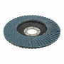 Wolfcraft Disco de láminas abrasivo ø125 mm, grano 40