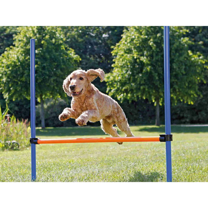 Juguete de adiestramiento Trixie Juguete de adiestramiento Trixie