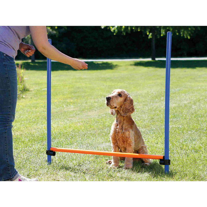 Juguete de adiestramiento Trixie Juguete de adiestramiento Trixie