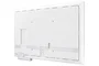 Samsung WM55FX Pizarra Blanca Interactiva 55 Pulgadas 4K UHD