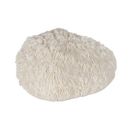 Lámpara Mesa Coral Arenisca 14,30 X 11,50 X 8,50 cm (Set de 2)