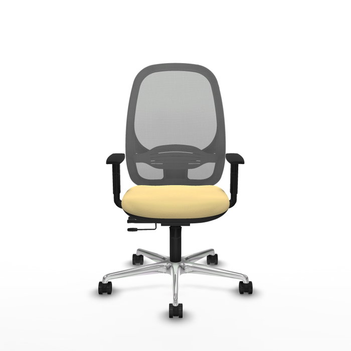 PIQUERAS Y CRESPO Silla de oficina Cilanco con mecanismo Sincro/Traslack Crema y Gris PIQUERAS Y CRESPO Silla de oficina Cilanco con mecanismo Sincro/Traslack Crema y Gris