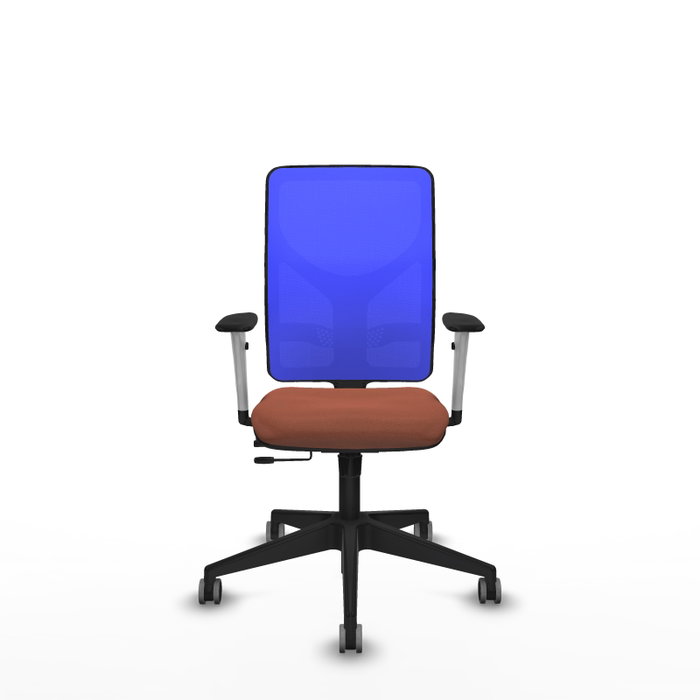 PIQUERAS Y CRESPO Silla de oficina Motilla con mecanismo Sincro/Traslack, Azul y Marrón PIQUERAS Y CRESPO Silla de oficina Motilla con mecanismo Sincro/Traslack, Azul y Marrón