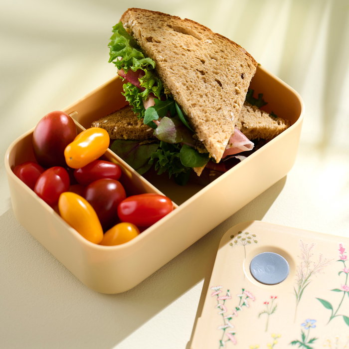 Day Fiambrera 1 L con Divisor Móvil y Banda Elástica de Cierre, 19x11x6 cm, Colores Surtidos