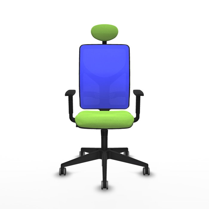 PIQUERAS Y CRESPO Silla de oficina Motilla con mecanismo Sincro, color Pistacho y Azul PIQUERAS Y CRESPO Silla de oficina Motilla con mecanismo Sincro, color Pistacho y Azul