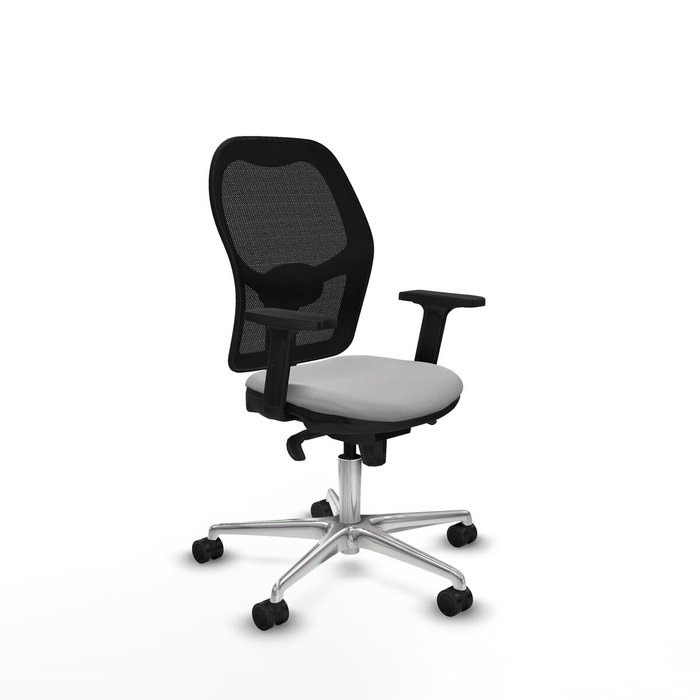 PIQUERAS Y CRESPO Silla de oficina Jorquera Gris claro y Negro PIQUERAS Y CRESPO Silla de oficina Jorquera Gris claro y Negro