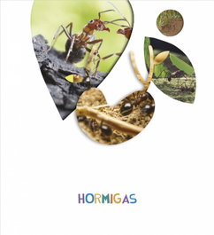 EDELVIVES HORMIGAS 5 AÑOS 2018