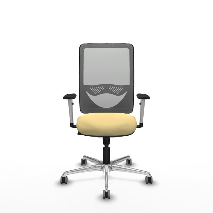 PIQUERAS Y CRESPO Silla de oficina Zulema con mecanismo Sincro, Crema y Gris PIQUERAS Y CRESPO Silla de oficina Zulema con mecanismo Sincro, Crema y Gris