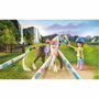 Playmobil 71640 Set Creativo de Caballos de Cascada con Caballo y Rotuladores CRAYOLA