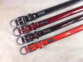 Freedog Collar Glam Deluxe 20 mm x 45 cm Burdeos para Perro - Accesorio de Paseo Elegante