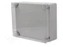 ELEKTRO-PLAST NASIELSK Carcasa Universal Industrial Gris