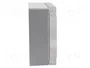ELEKTRO-PLAST NASIELSK Carcasa Universal Industrial Gris