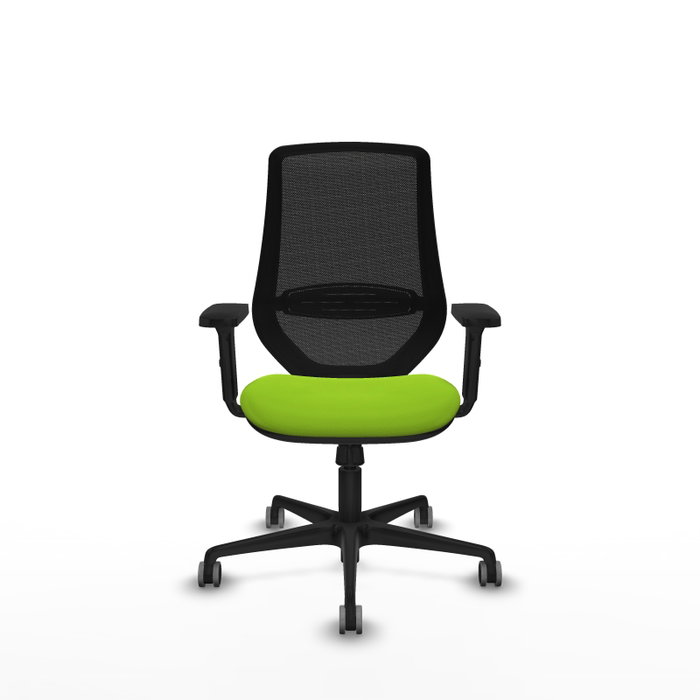PIQUERAS Y CRESPO Silla de oficina Mardos con mecanismo Sincro, Pistacho y Negro PIQUERAS Y CRESPO Silla de oficina Mardos con mecanismo Sincro, Pistacho y Negro