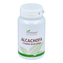 Alcachofa