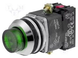 PROMET Interruptor de presión verde 24V 30mm