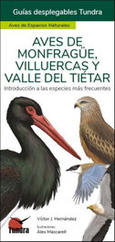 Tundra, Aves de Monfragüe, Villuercas y Valle del Tiétar - Guías Desplegables