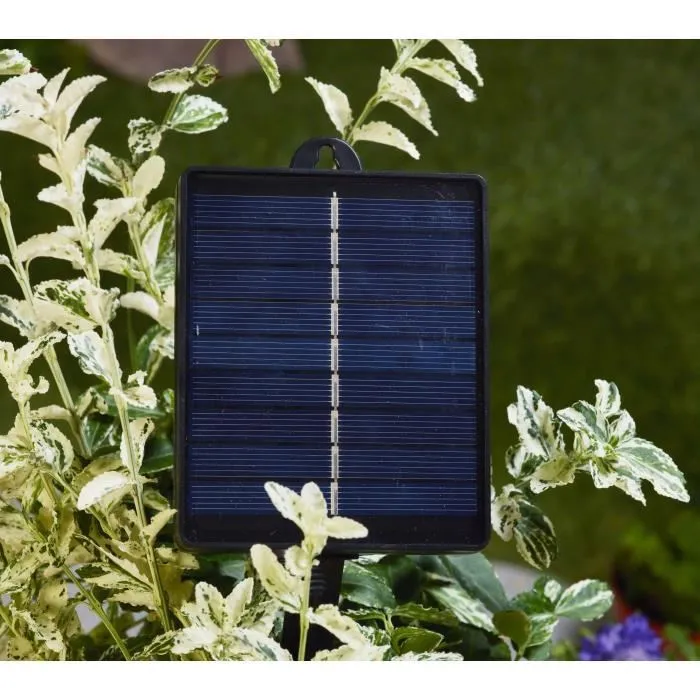 Smart Garden SMA5050642100816 Guirnalda de Luces LED MultiPower BT, 4.35 m, 30 Bombillas, 35 Lúmenes, Plástico Smart Garden SMA5050642100816 Guirnalda de Luces LED MultiPower BT, 4.35 m, 30 Bombillas, 35 Lúmenes, Plástico